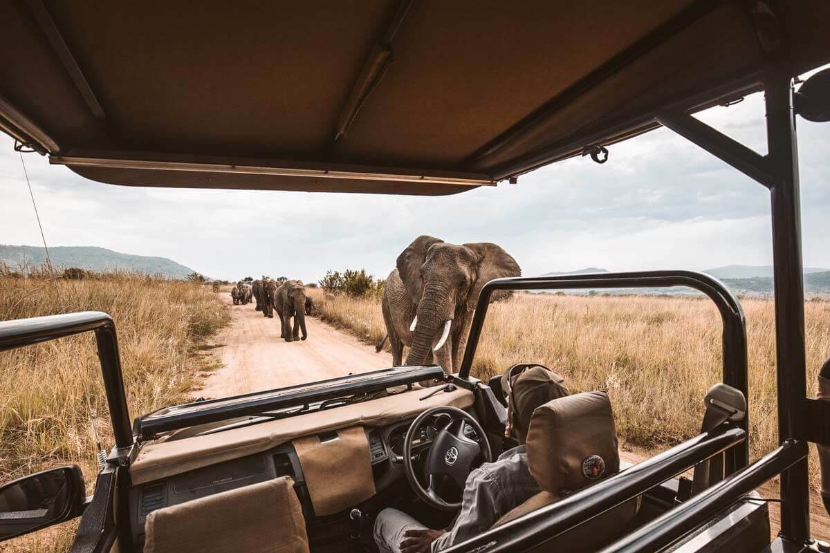 Etosha National Park