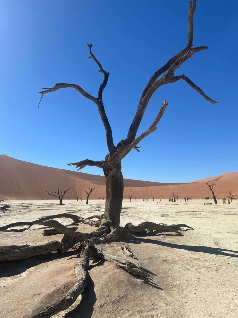 Sossusvlei & the Namib