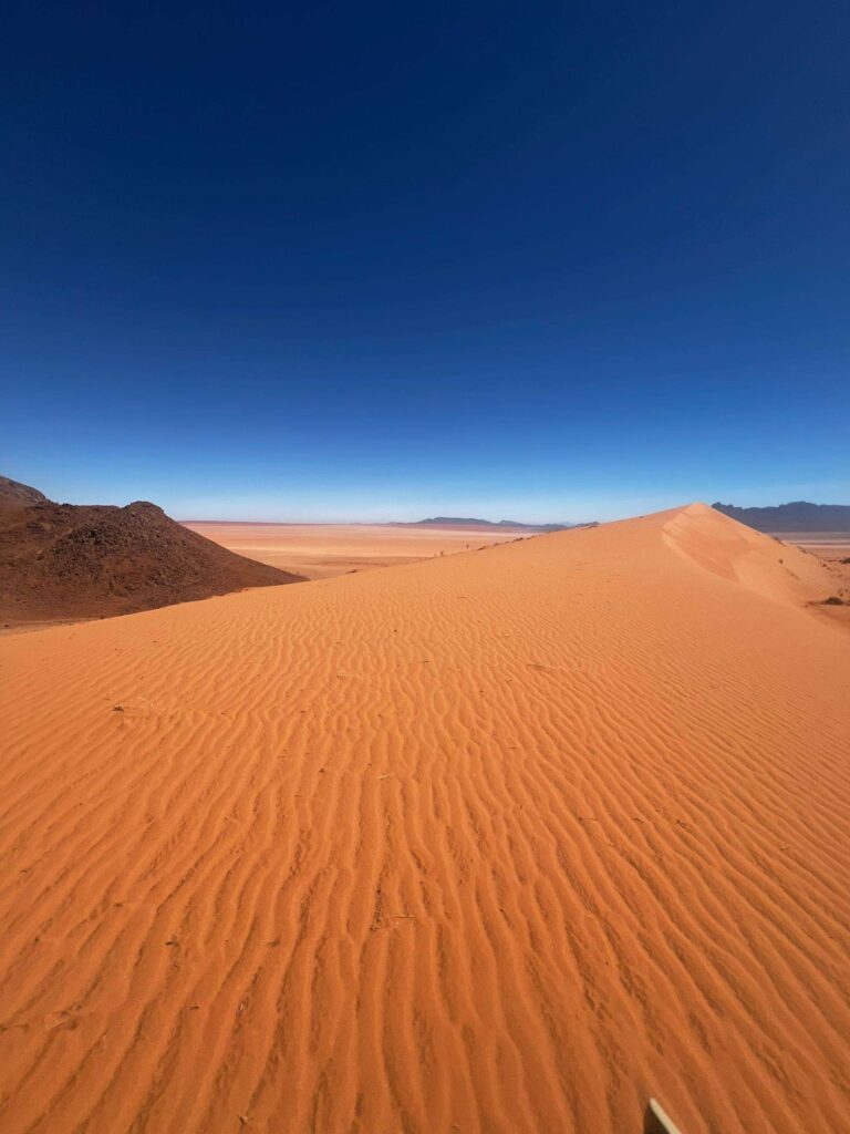 The wind-rippled crest of a red Namib dune running out towards distant mountains